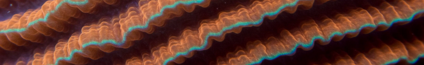 Production Banner with gradient background